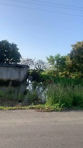 Situacion actual de la maporas via arichuna San Fernando de Apure ✍️🥹 #viral #venezuela #apure | Apure Sinlimites Vzla