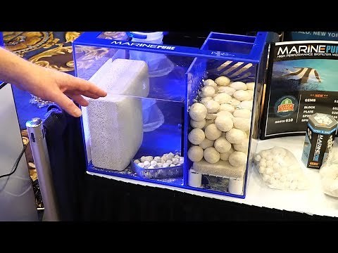 Marine Pure at MACNA