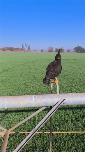 5.5K views · 64 reactions | DripTech and Reinke have joined forces! We’re now stocking Reinke pivots and have their expert team working alongside ours to bring you the very best in irrigation solutions. Whether you’re looking at new schemes or pivot installations, our combined team is ready to assist you! | Driptech Irrigation | Facebook