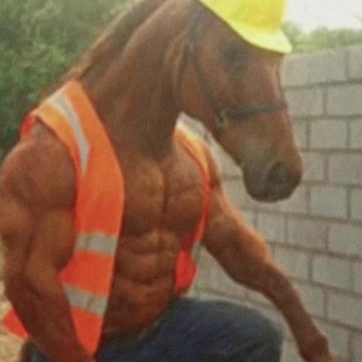 Hilarious Horse Memes to Enjoy Before Sleep