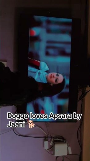 Doggo loves Apsara by Jaani #apsara #jaani #punjabisong #punjabimusic #romanticsong