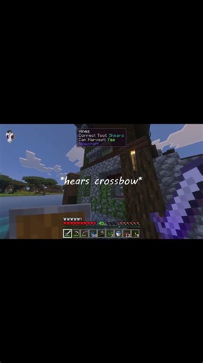 Not The Arrow 😂 #minecraft #minecraftbedrock #cozygaming