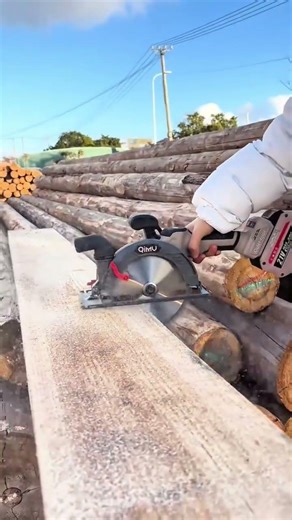 cutting large pieces of wood from a thick tree trunk with a gas powered chainsaw in a field outdoor