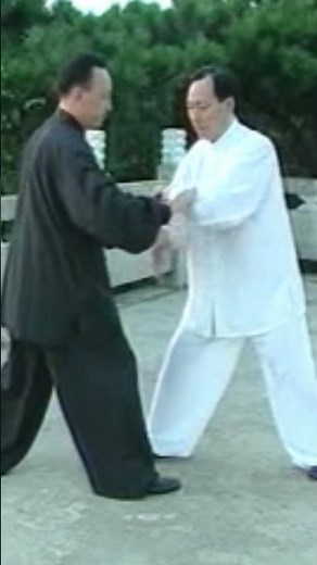 7. Tai Chi Chin Na: Finger Lock Technique from "Lazy About Tying Coat" Form