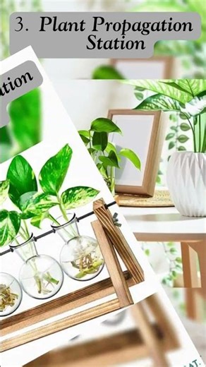 Best 6 Plant Terrariums for Your House | Stylish Indoor Mini Garden Ideas #IndoorPlants #HomeDecor