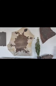 9K views · 254 reactions | Introducing the culmination of four years...