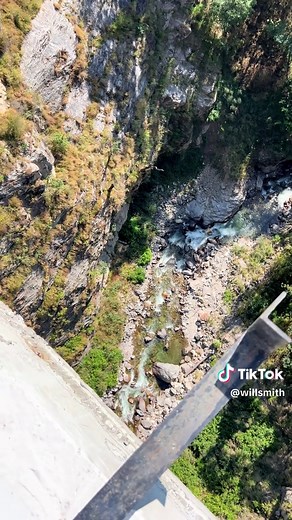 This one’s for you, Trevor 🕊️🙏🏾 | trevor