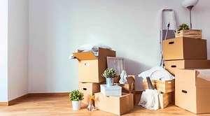 Three Movers | Best Moving Companies Near You | 1,2,3 Guys Or More