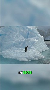 Antarctica's Secrets: Birth, Claims, and Frozen History #shorts