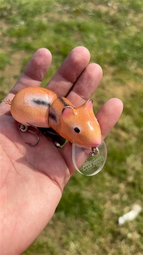 Making a Wakebait #shorts