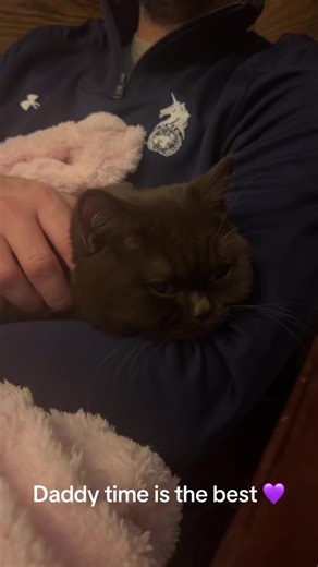 Kismet the Cat's Special Daddy Time Moments