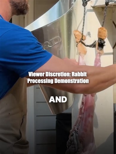 Sometimes it takes a little brute force to get to the good stuff. Breaking the bone is just part of the process when you’re doing this yourself and learning how food really comes together. Full video on YouTube if you want to see the entire process from start to finish. [Link in Bio] #Homesteading #Homestead #Butchering #RealFood#SmallFarm #AnimalBasedDiet #MeatRabbits