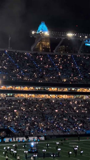 Halftime show at Panthers playoff game