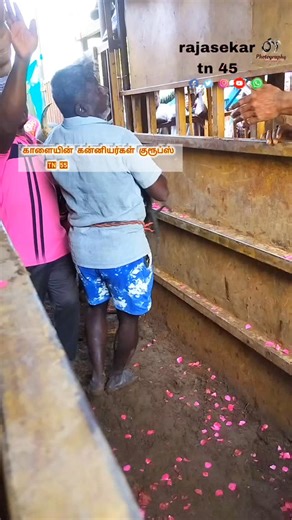 காளையின் காதலன்❣️ 7904634578 on Instagram: "TN 55 காளையின் கன்னியர்கள் குரூப்ஸ் 🐂🔥🔥🏆👌 Like Share Comment Support my page nanpa 🫂❣️ #jallikattu🐂 #jallikattu #jallikattu_images🔥 #jallikattulover😍✌💘❤💯💕 #jallikattu_rekalarace_official"