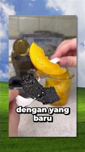 Youtuber Menyimpan Barang Sampai Puluhan Tahun