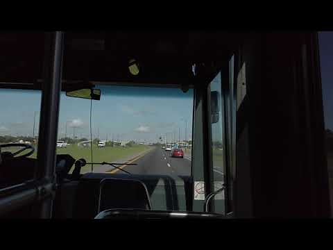 Disney World Bus Ride from Animal Kingdom Lodge to Magic Kingdom