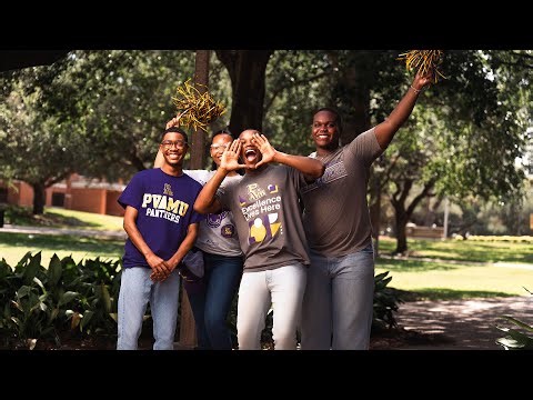Introducing PVAMU's PV Cares© Student Success Model