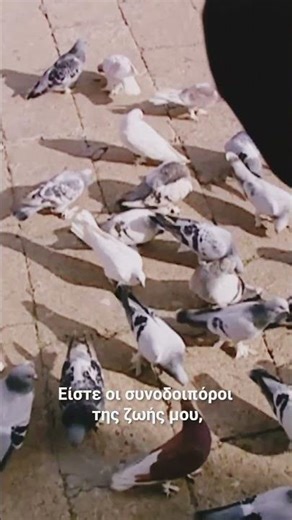 Sila – Τα πουλιά πετούσαν 🕊️