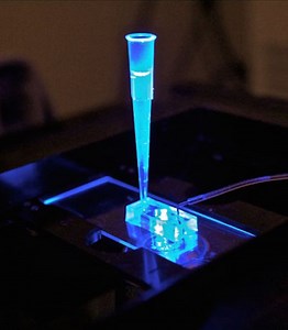 半導体チップ上に“人工心臓”を作る――iPS細胞を利用