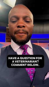 NEED YOUR HELP!! Amy Lange Fox 2 and I are doing a “Ask A Vet” segment on our upcoming “Pet People” show on FOX 2 Detroit. If you have a question you want us to ask, please put it in the comments! | Brandon Hudson