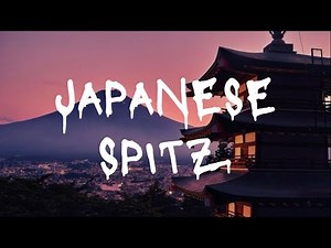 Japanese Spitz- Yeki (Lyrics)