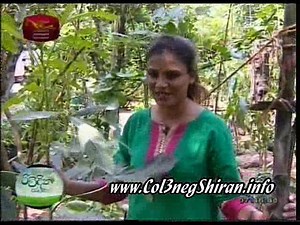 Arunalla-2016-11-20 - video Dailymotion