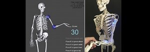 The Smart Skeleton: an open-source tool for teaching muscle and joint movements #Education