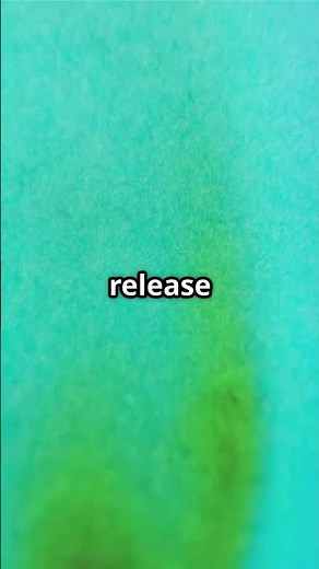 3 Powerful Pink Full Moon Rituals You Can Do Tonight (Manifest + Release)