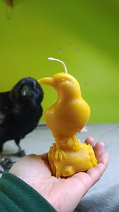 Echo candle. Made of natural beeswax. #raven #candle #bee #wax #natural #decoration #bird #best #amazing #night #relax | Echo the Raven