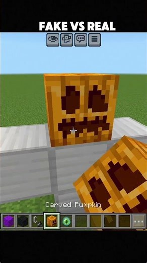 🚨 Minecraft FAKE vs REAL – You Won’t Believe The Difference! 😱