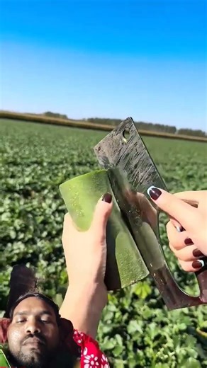 #farming #fruit #cake #cake #fishgravyrecipe #fishgravyrecipe #fishrecipes #fishrecipes #funny