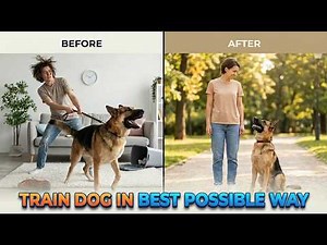 How to Train a Dog the BEST Way 🐶 (Step-by-Step Guide for Beginners)