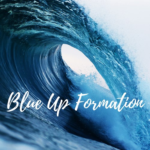 DESJEPS&DEJEPS&BPJEPS | BlueUpFormation