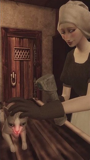 Medieval Vet Tools | Лечим котика | The Sims 4