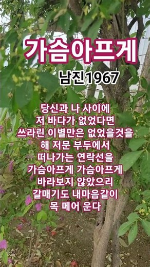 가슴아프게 #남진#트로트#1967남진ㆍ최고히트인기애창곡