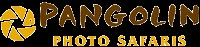 Photographic safari packages by Pangolin Photo Safaris