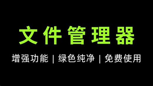 XYplorer 替代 Win 资源管理器，绿色纯净高级版
