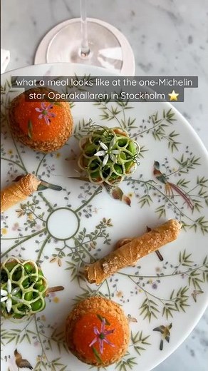 Operakällaren ⭐️ What a Meal Looks Like at the One Michelin Star Fine Dining Restaurant in Stockholm