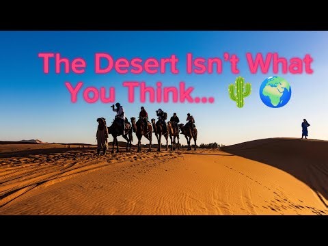 The Desert Isn’t What You Think… 🌵🌍 #NatureFacts #DesertSecrets