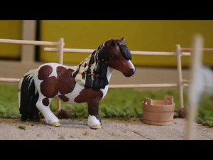 Repaint Tutorial Rotbrauner (+Scheckung)