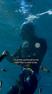 Coming soon on Dive Diaries: Freediving with @wandering.westerner 🌊🤿 In La Ventana, Baja California Sur, Aidan Bedford finds more than just adventure—he finds clarity. Freediving isn’t just about depth; it’s about the connection, the stillness, and the escape from life’s constant distractions. One breath, one moment, total focus. 🎥 The full episode drops Monday on our YouTube channel! Stay tuned to dive into the experience. 🌊✨ 🎥 @timbuz #ScubaDotCom #DiveIntoAdventure #OceanExplorers #Scuba