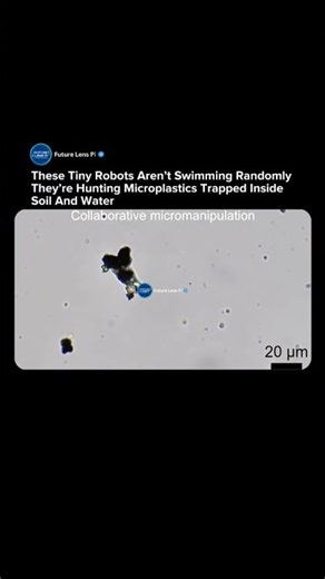 Tiny Robots Could Remove Microplastics From Soil and Water 🤯 #robot #technology #shorts