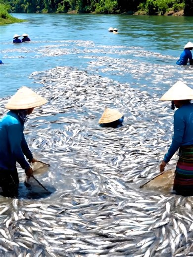 High-quality products from my hometown AI#rural #village #viral #foryoupage #viralvideoシ #reelsviralシvoice #viralpost #asmr