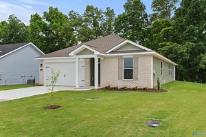 Bailey Park by Davidson Homes