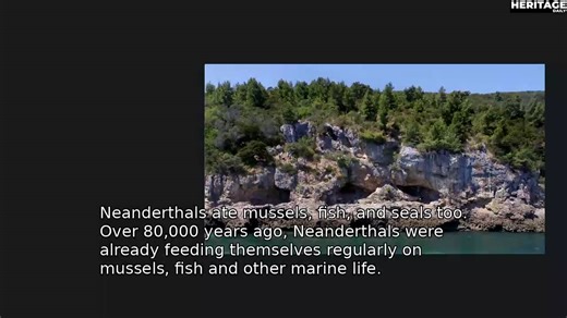 Neanderthals ate mussels, fish, and seals too