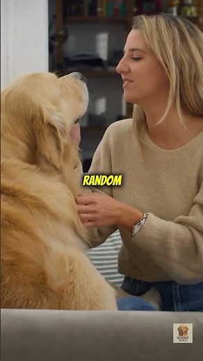 “Your Dog Understands You Without Words 😱🐶 | The Secret Language Between Dogs and Humans”