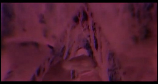 A sziget neve: Túlélés /Demon Island/