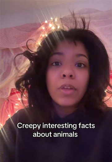 Anyone else afraid of animals ?#Animals #Creepy #3AM#horrorfacts #Scary