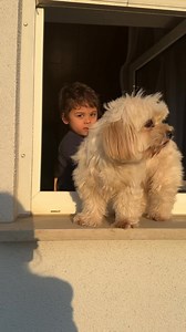 287K views · 5.1K reactions | Nilumot na din sa luma yung mga bato. | Pearly Alms | Facebook