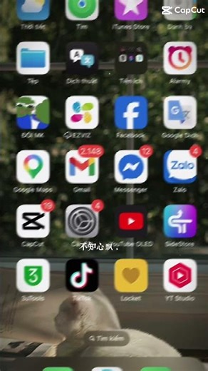 Locket Gold Username - DNS 2026 #locket #locketwidget